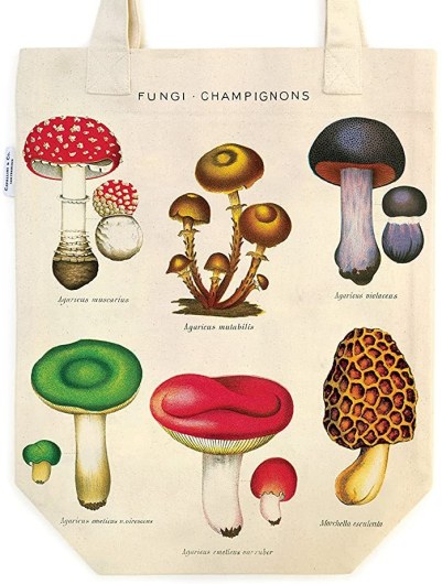 81zou0PgGZL._AC_SL1500_